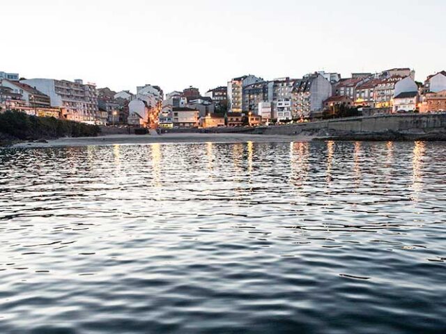 Caneliñas al atardecer