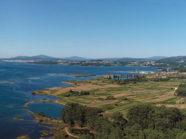 The coastline of the Arousa Estuary, with shallow waters and great biological wealth.