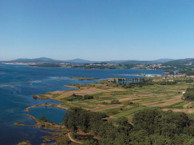 Litoral de la ría de Arousa, de aguas poco profundas y de gran riqueza biológica