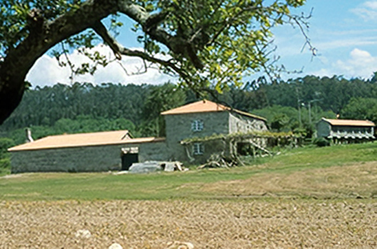 Maza House